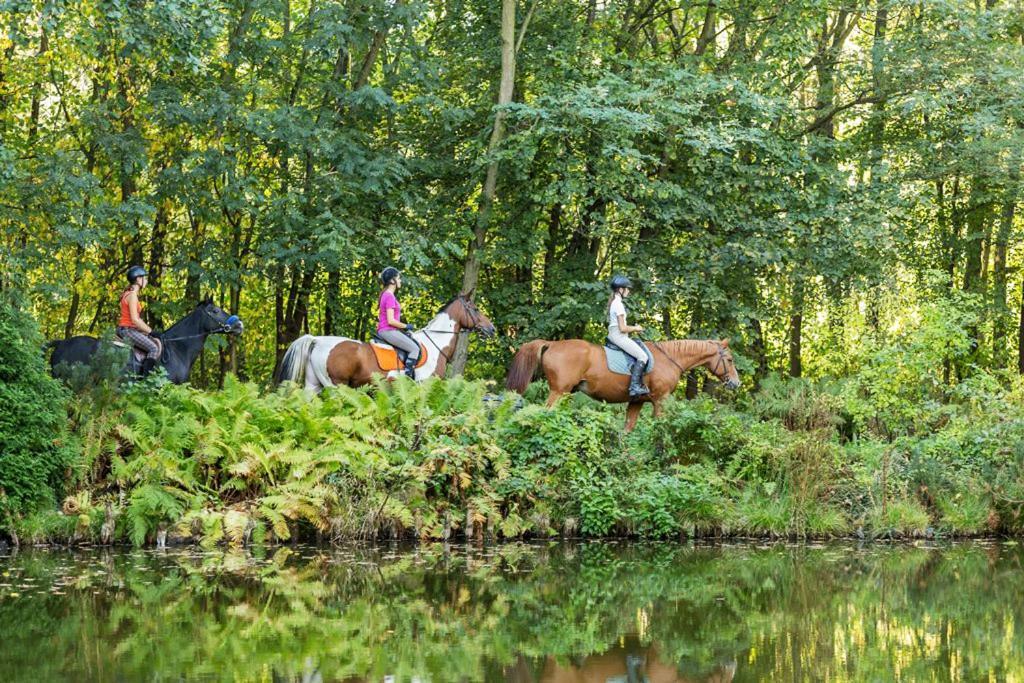 Rancho Slezanski Mlyn Szczepanow  Bagian luar foto