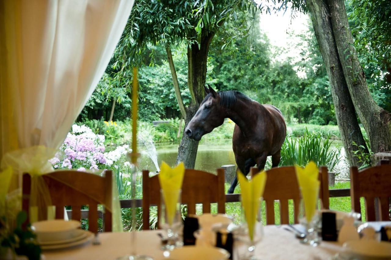 Rancho Slezanski Mlyn Szczepanow  Bagian luar foto